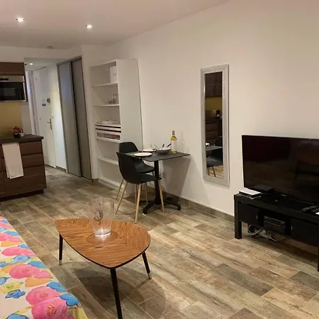 583 Grand 2 Pers Port Ambonne Terrasse * アグド