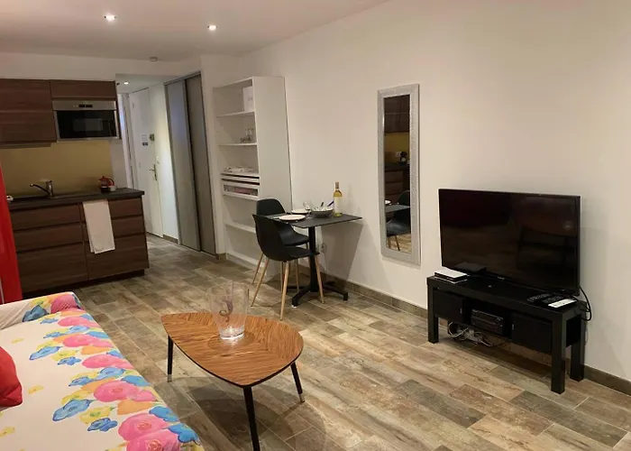 583 Grand 2 Pers Port Ambonne Terrasse * Agde